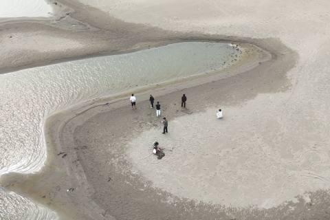 梨花为媒 农旅相融 百里洲“生态+...